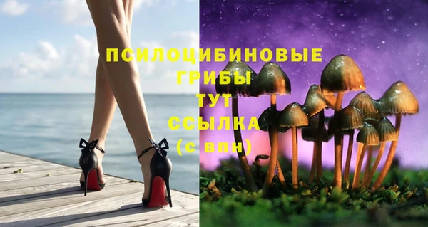 ПСИЛОЦИБИНОВЫЕ ГРИБЫ Ростов