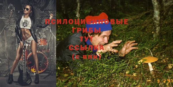 ГАЛЛЮЦИНОГЕННЫЕ ГРИБЫ Россошь